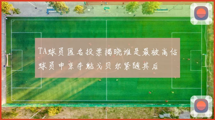 TA球员匿名投票揭晓谁是最被高估球员申京夺魁戈贝尔紧随其后